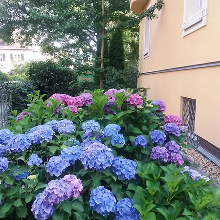 Barbara Apartamento Mariánské Lázně