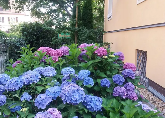 Barbara Appartamento Mariánské Lázně