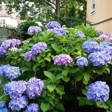 Апартаменти Barbara *