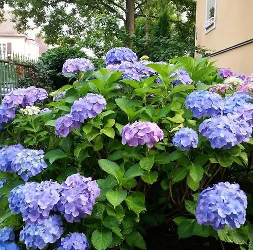 Lägenhet Apartment Barbara *