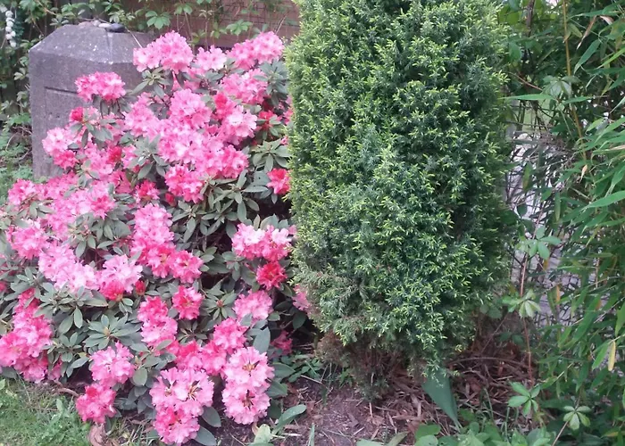 Apartment Apartment Barbara